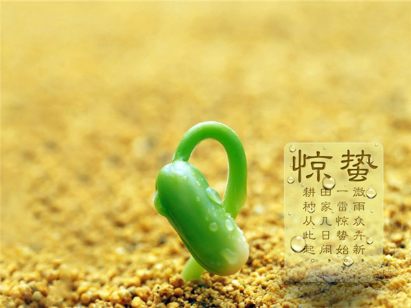 huajingzhinong