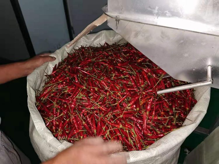 华景智农烘干的物料