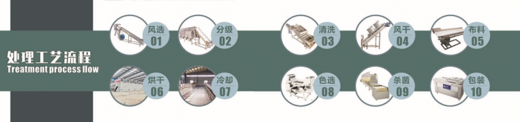 华景智农红枣烘干处理工艺