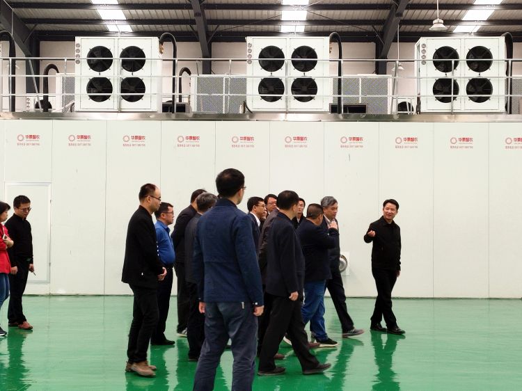 贵州省委常、委省委秘书长刘婕在铜仁市、沿河县领导陪同下调研印山村辣椒加工厂  实地查看华景智农承建的沿河县辣椒新能源烘干加工生产基地