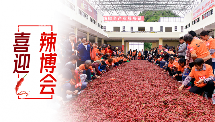 四川华景智农-第5届贵州·遵义辣博会展会现场