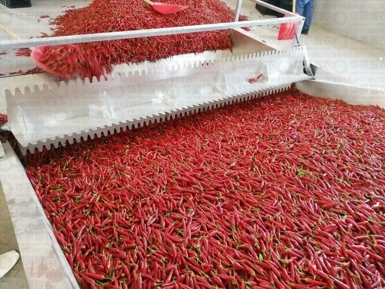 辣椒烘干机