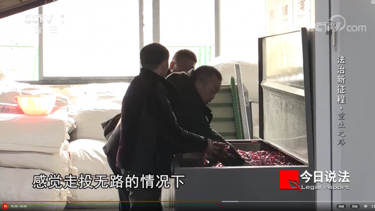 辣椒烘干