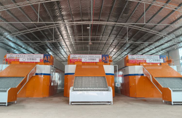 地黄烘干解决方案